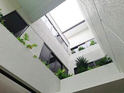 Henry Park (D10), Terrace #544517521